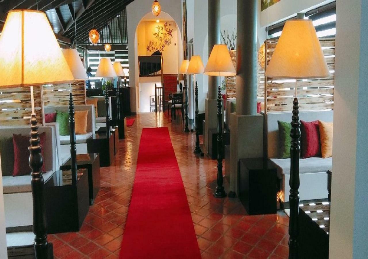 Ekho Ella Hotel Bagian luar foto